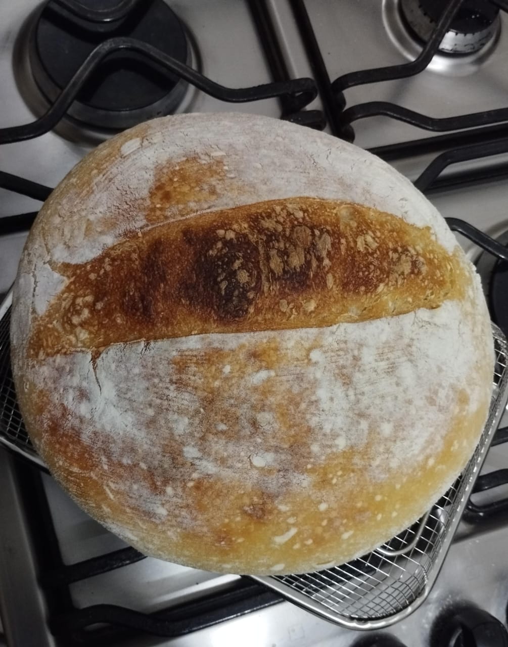 Pão de fermentação natural feito pela Julie